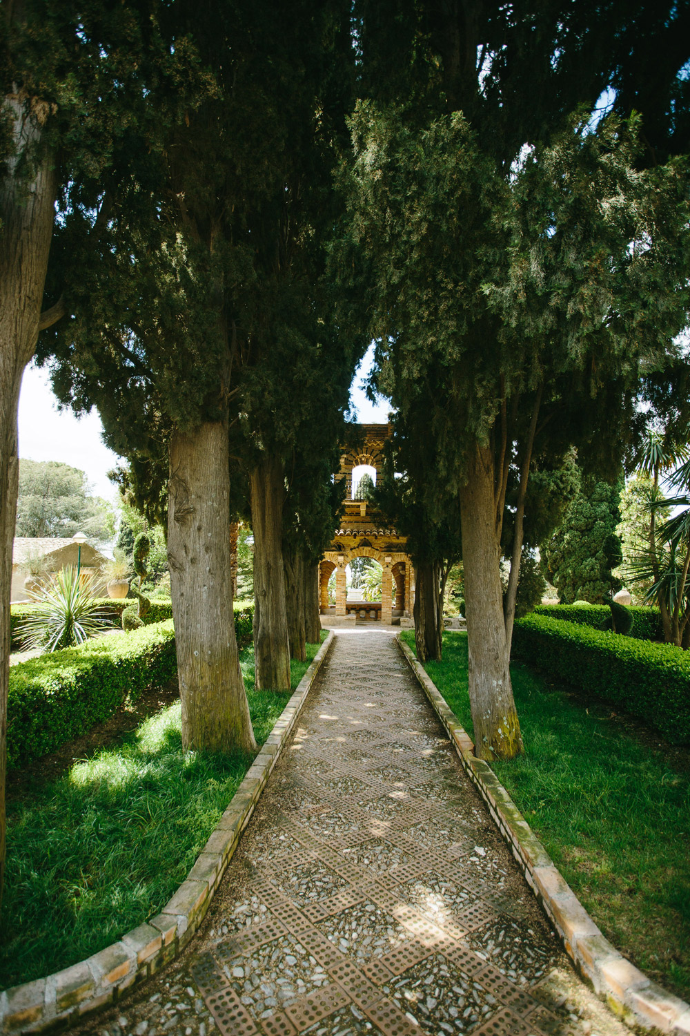 vineyard wedding in italy