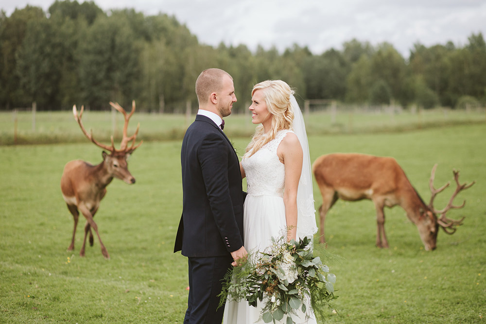 13-stockholm-wild-life-wedding-photographer