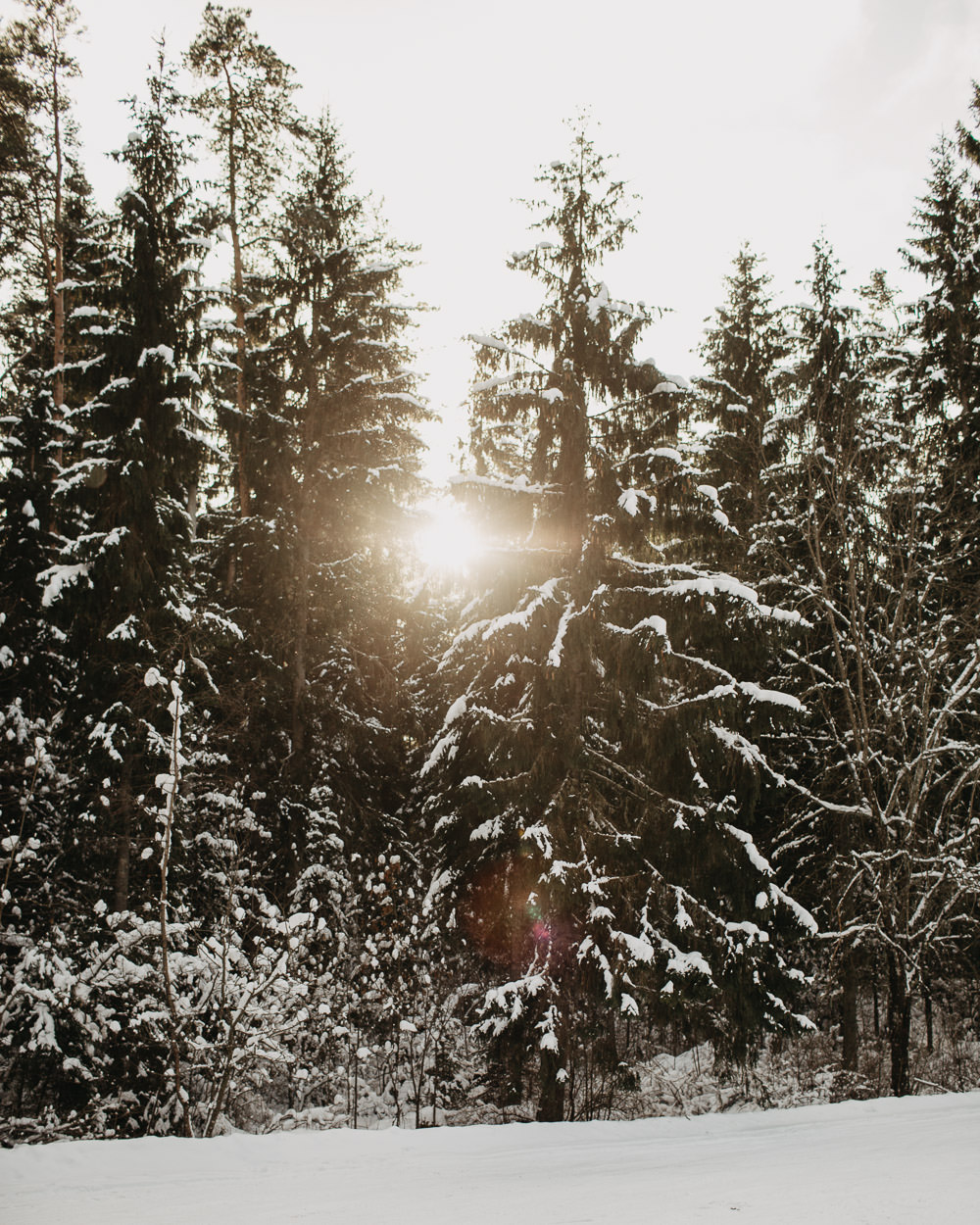 Latvijas foto ziema